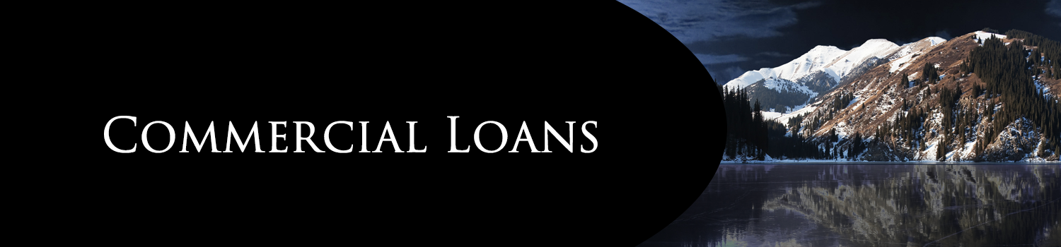 Commercial Loans