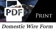 Domestic Wire Form PDF