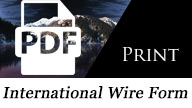 International Wire Form PDF