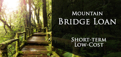 short term loan