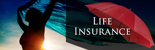 Life Insurance Options