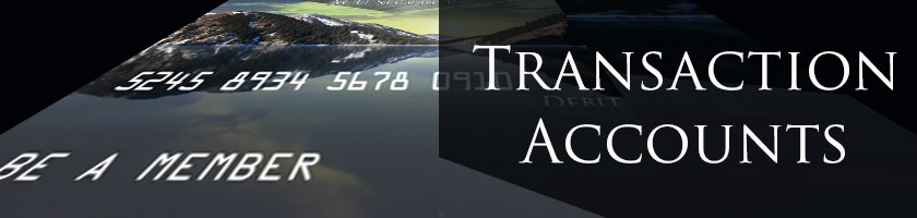 Transaction and Checking Accounts